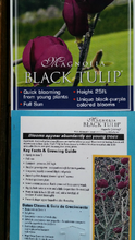 Magnolia 'Black Tulip'