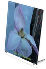 Magnolia 'Blushing Belle' Print
